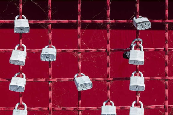 Locks on a gate