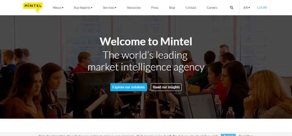 Mintel Global Market Research 