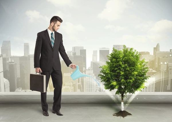 Businessman watering green tree on city background concept