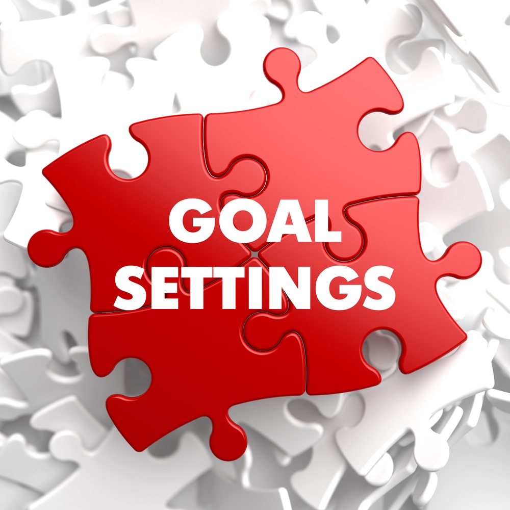Goal Settings on a website audit report