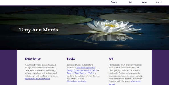 Terry Ann Morris Website