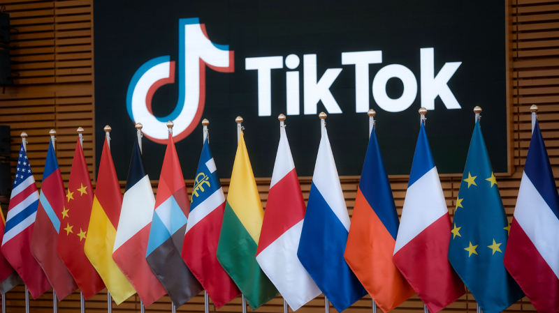 TikTok usage in Europe