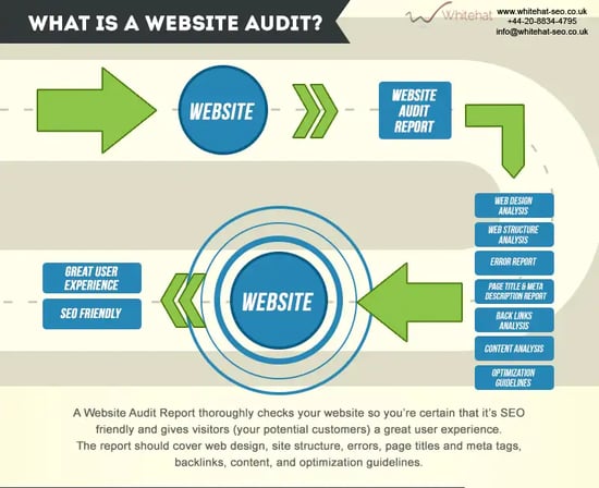 Whitehat-website-checker-review-analysis-infographics