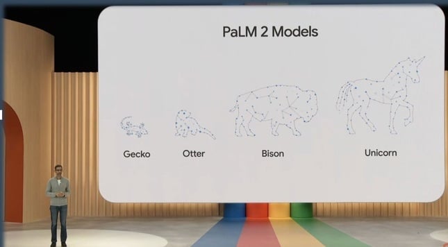 palm2 models