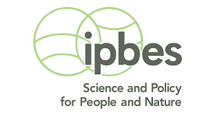 logo-ipbes-6