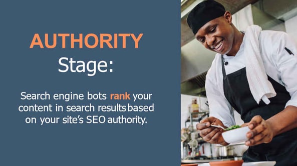 seo-authority